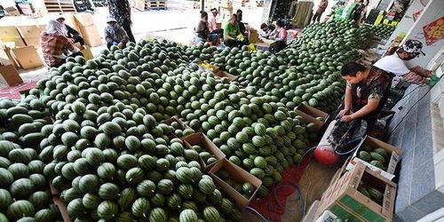 吃瓜群众庞总,吃瓜群众的智慧与幽默